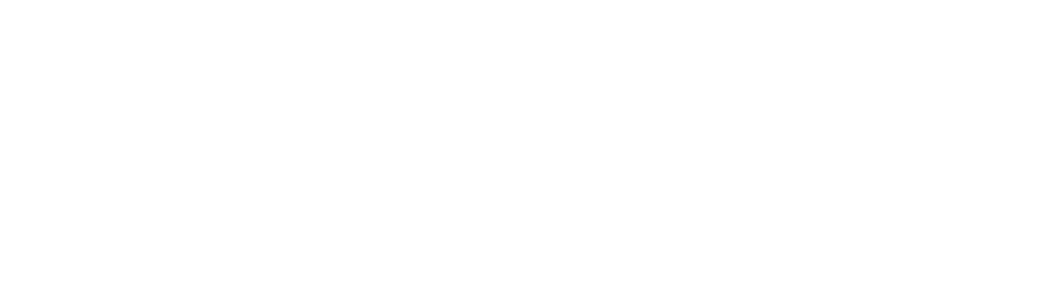 DORI logo